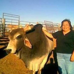 Meet your Posher, Barbara